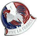 Broches Clj Charles Le Jeune Pin's Coq Vive la France Multicolore Grenoble