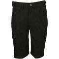 Shorts/Bermuda sur Grenoble : Short The North Face M Horizon Short