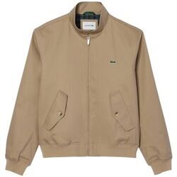 Blouson Lacoste Blouson homme Ref 64097 CB8 Beige