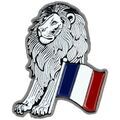 Broches Clj Charles Le Jeune Pin's Lion et drapeau Fran&ccedil;ais Noir