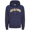 Pull Jack & Jones Caleb Sweat Hood