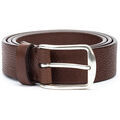 Ceinture Pikolinos Complementos