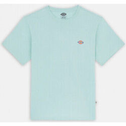 T-shirt Dickies Ss mapleton tee
