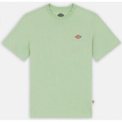 T-shirt Dickies Mapleton ss tee