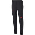 Jogging Puma 767558-08