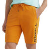 Short O'neill Logo 500