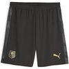 Short Puma Stade Rennais 2023/24