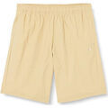 Short Champion 218701