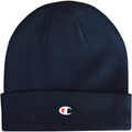 Chapeau Champion 802406