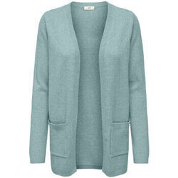 Gilet JDY 15281966