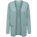 Gilet JDY 15281966 Grenoble