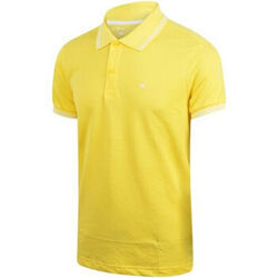 Polo Champion 208198