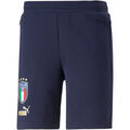 Short Puma 767116