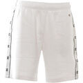 Short Champion 218471
