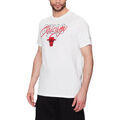 Tee-shirts sur Grenoble : T-shirt New-Era 60332184