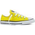 Baskets enfant Converse 355735C