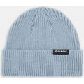 Casquette Dickies Woodworth beanie Grenoble