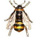 Broches Clj Charles Le Jeune Broche Abeille Jaune Grenoble