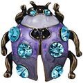 Broches Clj Charles Le Jeune Broche Scarab&eacute;e Violet Grenoble