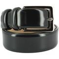 Ceintures sur Grenoble : Ceinture Robert Charles Ceinture classiques