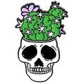 Broches Clj Charles Le Jeune Pin's T&ecirc;te de mort, cr&acirc;ne, Halloween, pot de fleur Vert Grenoble