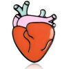 Broches Clj Charles Le Jeune Pin's coeur, docteur, cardiologue Rouge