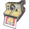 Broches Clj Charles Le Jeune Pin's Polaroid Marron
