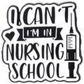 Broches Clj Charles Le Jeune Pin's I can't i am in nursing school Noir Grenoble