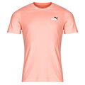 T-shirt Puma ESS 2 COLOR SMALL LOGO TEE Grenoble