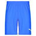 Short Puma TEAMRISE MATCHDAY