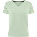 T-shirt Roberto Ricci Designs RRD 720 CUPRO V-NECK WOM