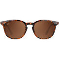 Lunettes sur Grenoble : Lunettes de soleil Twig BOGART