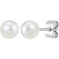 Boucles oreilles Sc Crystal B4217 Argent&eacute; Grenoble