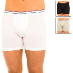 Boxers Tommy Hilfiger UM0UM00010-004 Multicolore