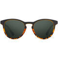 Lunettes de soleil Twig PASTEUR