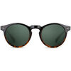 Lunettes de soleil Smooder DOGMA