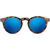 Lunettes de soleil Smooder DOGMA