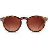 Lunettes de soleil Smooder DOGMA