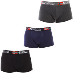 Boxers Geographical Norway GN1000-006 Multicolore