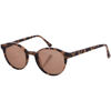 Lunettes de soleil Zen Z423-C05