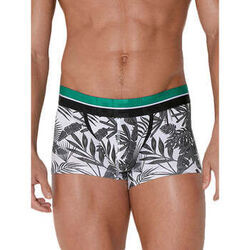 Boxers Code 22 Boxer Palm Tree Code22 Gris