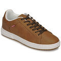 Baskets basses Levis PIPER Marron