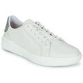 Baskets basses Timberland SENECA BAY OXFORD Blanc