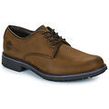 Chaussures de ville homme sur Grenoble : Derbies Timberland STORMBUCKS LACE UP