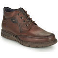 Boots Fluchos CELTIC Marron