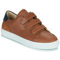 Baskets homme sur Grenoble : Baskets basses Pellet SID Marron