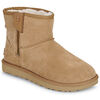 Boots UGG CLASSIC MINI BAILEY ZIP Marron