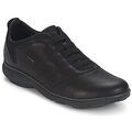 Baskets homme sur Grenoble : Baskets basses Geox NEBULA B