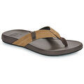 Tongs Reef CUSHION PHANTOM 2.0