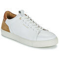 Baskets homme sur Grenoble : Baskets basses Pellet SIMON